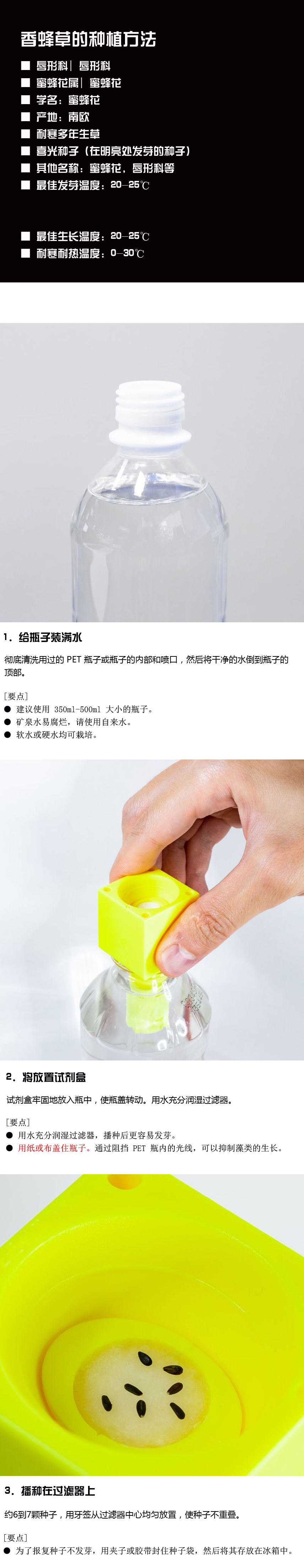 如何种植
