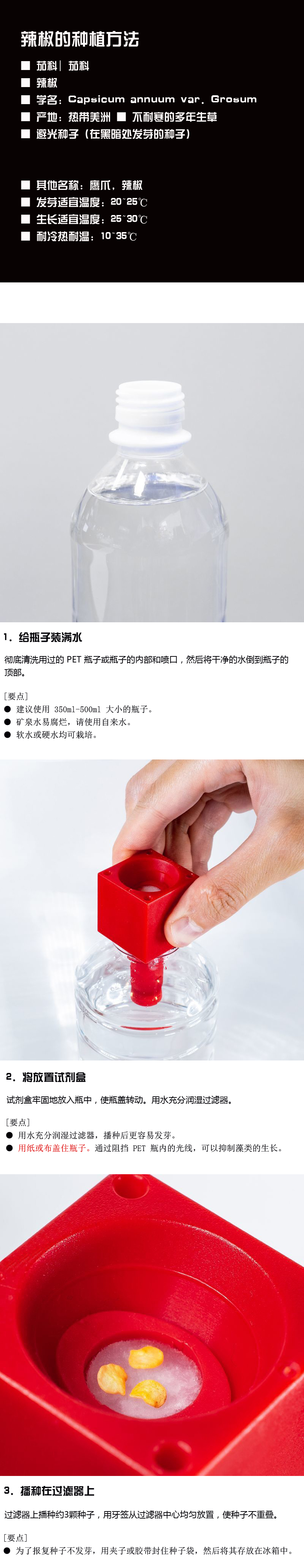 如何种植