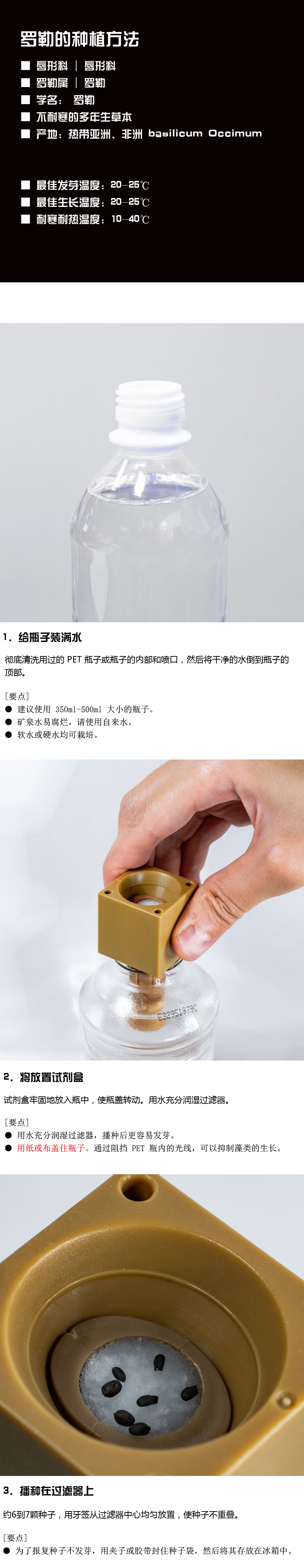 如何种植