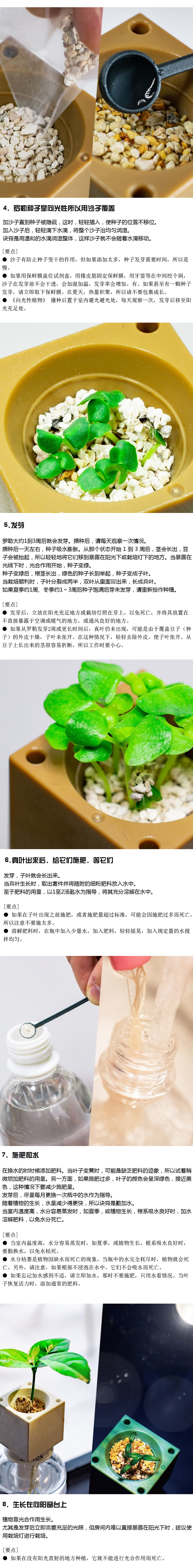 如何种植