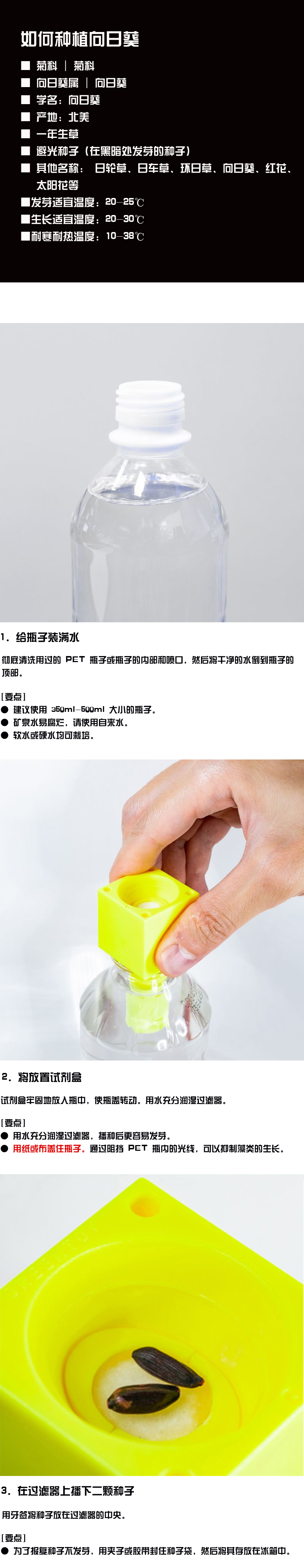 如何种植