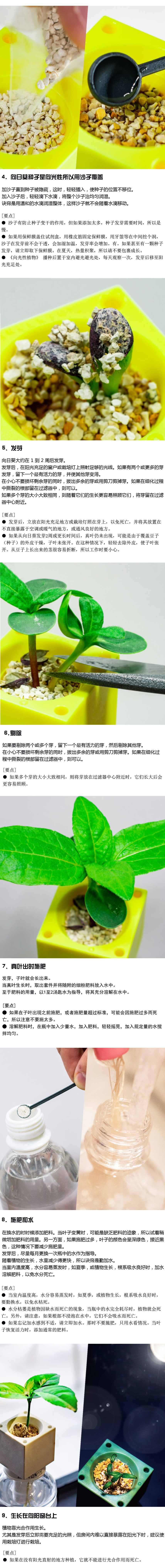 如何种植