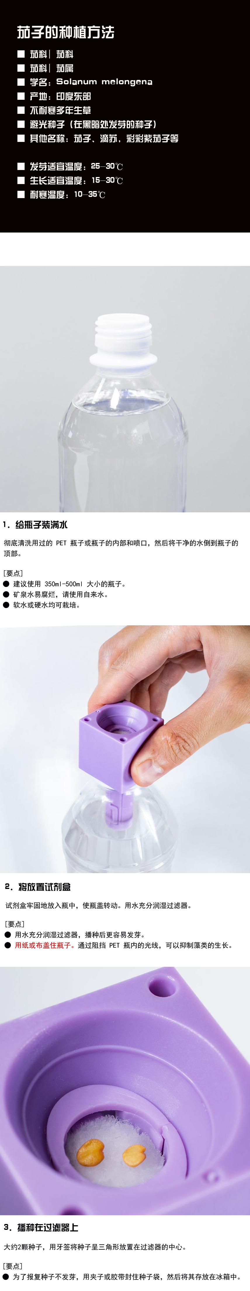 如何种植