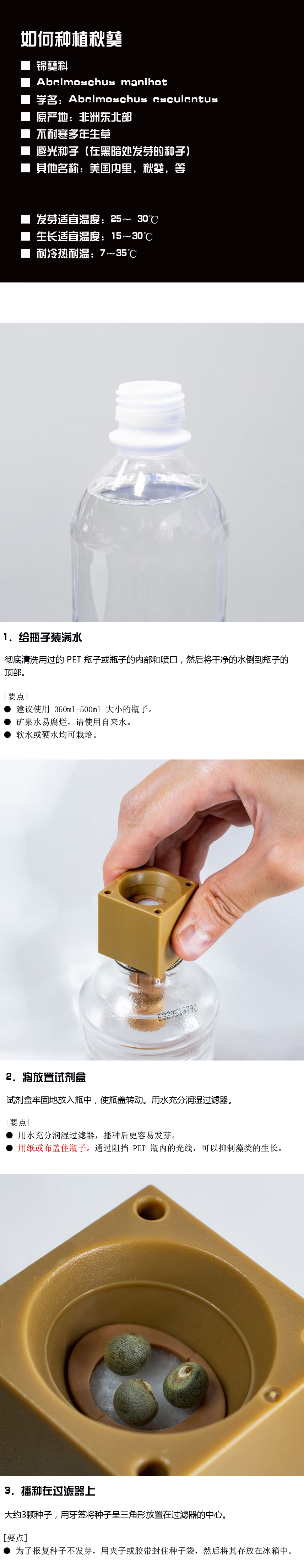 如何种植