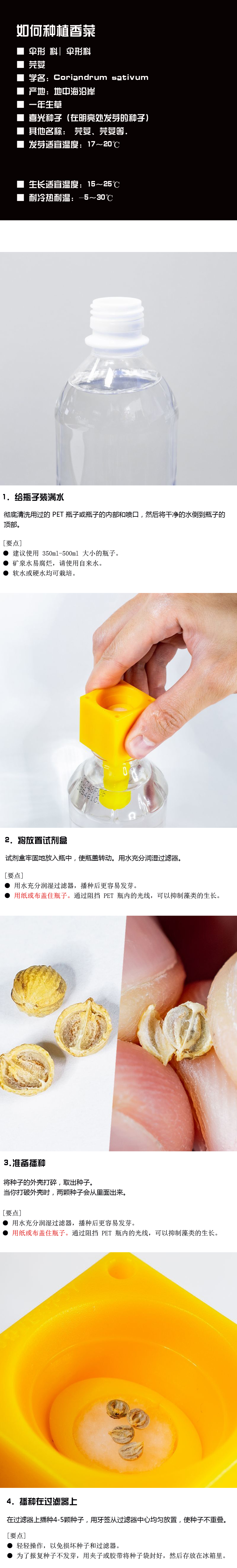 如何种植