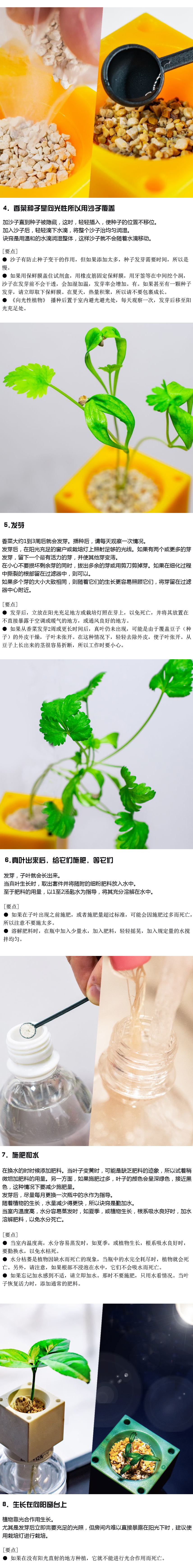 如何种植