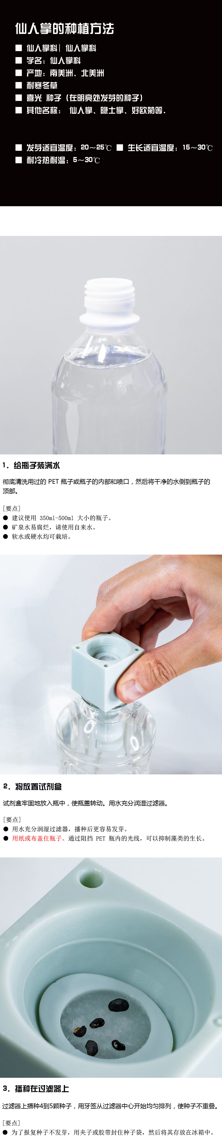 如何种植