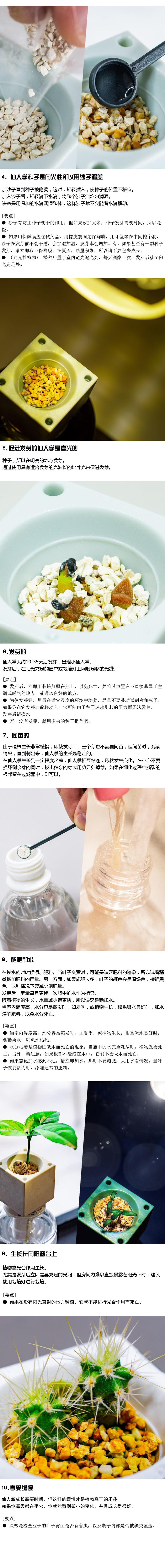 如何种植