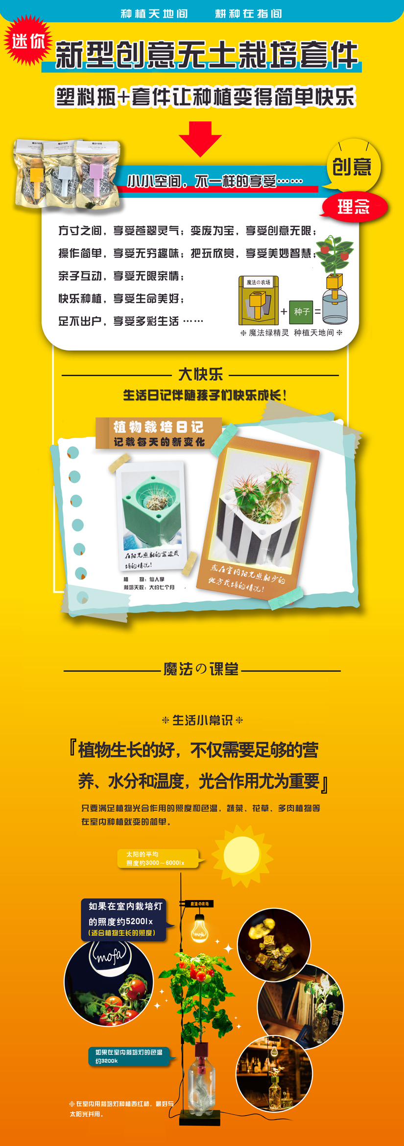魔法农场介绍